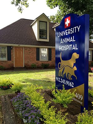 University Animal Hospital in Statesboro